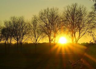O DECRETO 525/2020 NO ESTADO DE SANTA CATARINA