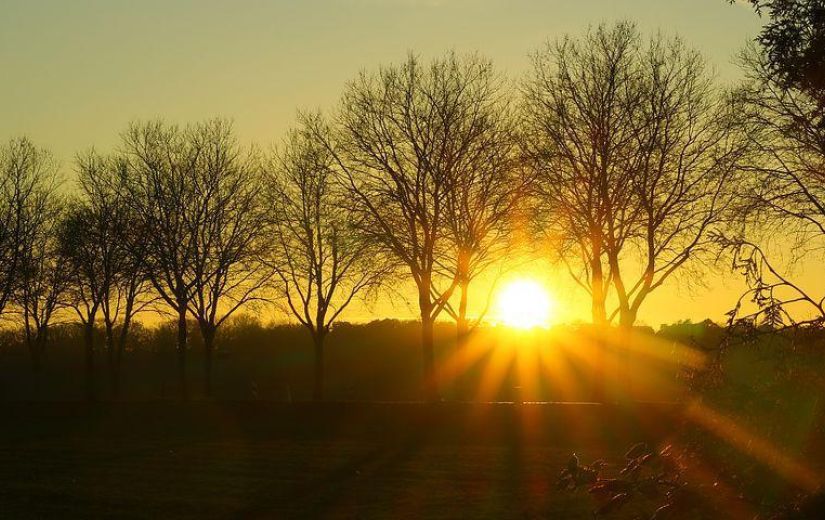 O DECRETO 525/2020 NO ESTADO DE SANTA CATARINA