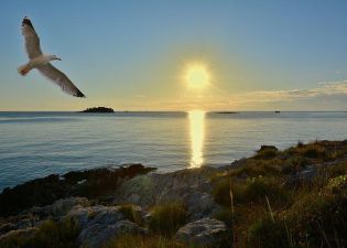 MEDIDA PROVISÓRIA 927/2020 - MEDIDAS TRABALHISTAS EM TEMPO DE CORONAVÍRUS