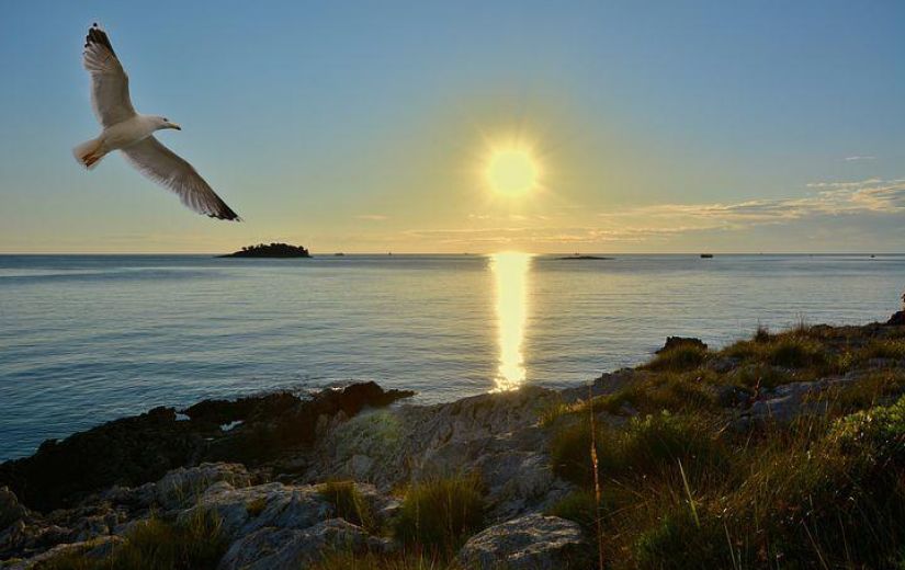MEDIDA PROVISÓRIA 927/2020 - MEDIDAS TRABALHISTAS EM TEMPO DE CORONAVÍRUS
